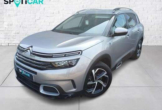 Citroen business l. hybrid 225 auto