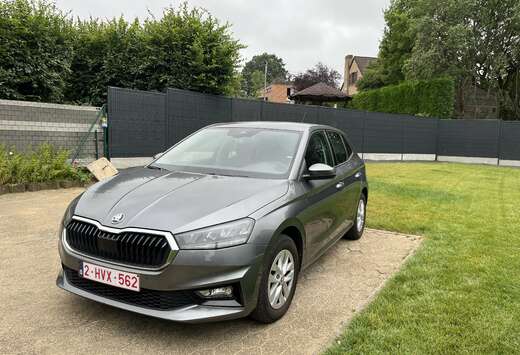 Skoda 1.0 TSI DSG Selection