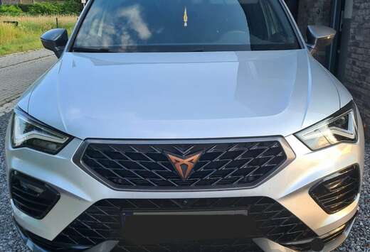 2.0 TSI 4Drive DSG