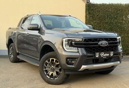 Ford 2.0 EcoBlue e-4WD Wildtrak Stuurwiel verwarming