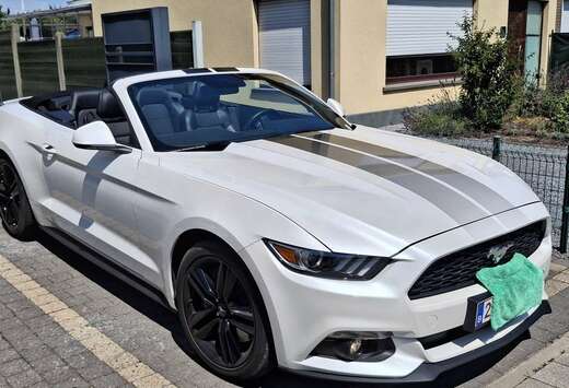 Ford Convertible 2.3 EcoBoost