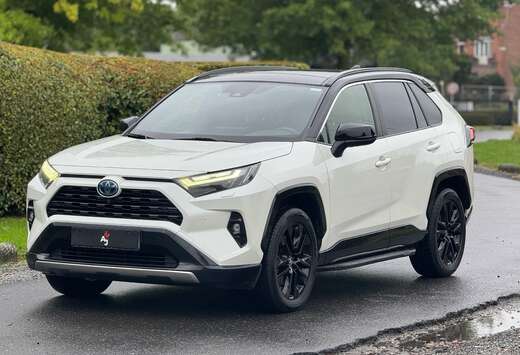 Toyota RAV4 Hybrid STYLE PLUS COLD PACK 2.5i 2WD