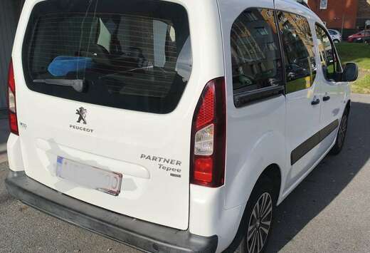 Peugeot Tepee 1.6 HDi FAP 92ch Active