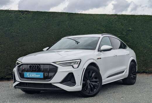 Audi 503pk - opendak - 2x s-line - ambiance - trekhaa ...