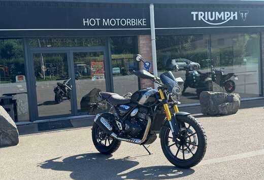 Triumph (garanti 24 mois)