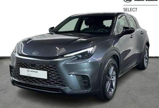 Lexus Base