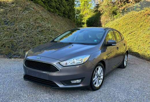 Ford 1.0 EcoBoost /Carnet Ford /1er proprio /Très pr ...