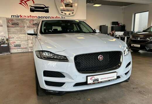 Jaguar AWD*NAVI*LEDER*PANO*R-KAMERA*SHZ*