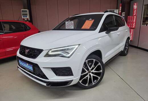 2.0 TSI 300CV 4Drive DSG7