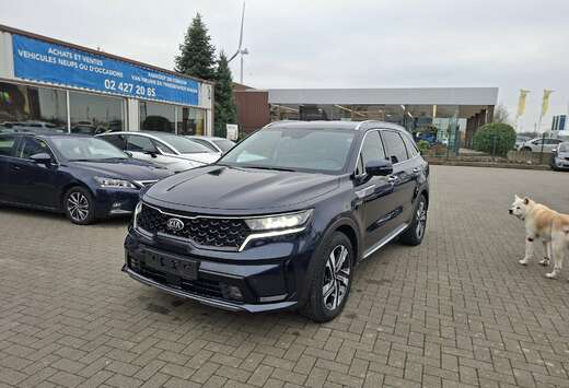 Kia Sorento PHEV 1.6 TGI AWD Sense 7pl.