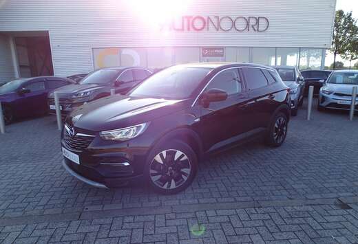 Opel Grandland X 1.2 Turbo Ultimate AUTOMAAT * TOPSTA ...