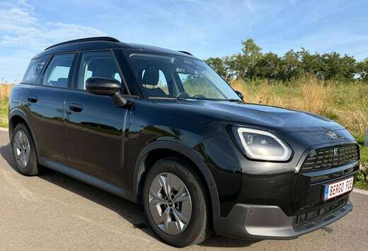 MINI Classic Trim