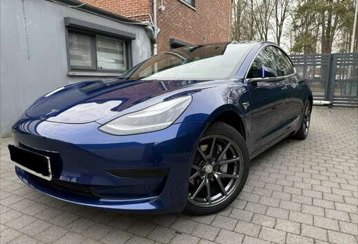Tesla Standard Reichweite Plus Hinterradantrieb