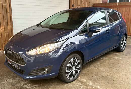 Ford 1.25 AMBIENTE