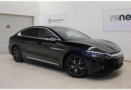 BYD Executive