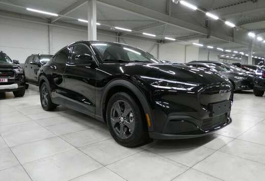 Ford RWD 76KWh 269pk Full Option 08/2021 23000km (319 ...