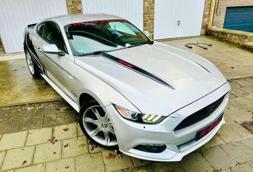 Ford V6  *** Pack Sport ***