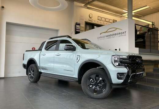 Ford STORMTRACK PLUG-IN HYBRID NIEUW OKM 48700 +BTW