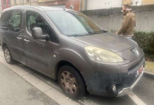 Peugeot Tepee HDi FAP 90 Tendance