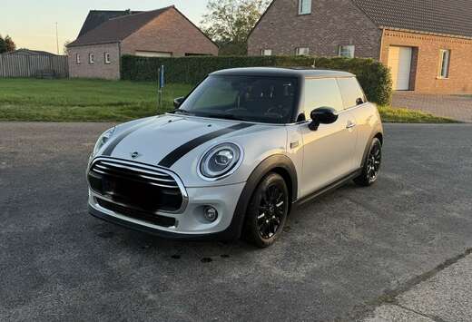 MINI 1.5A OPF (EU6d)