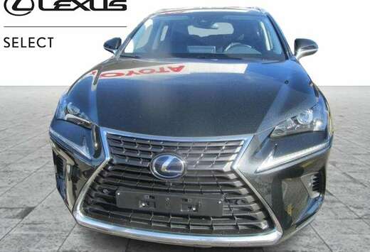 Lexus Executive Line