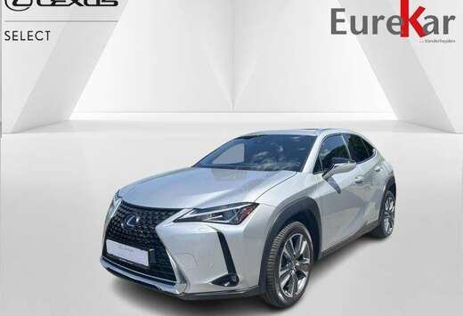 Lexus Executive Line