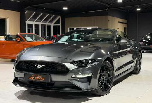 Ford Convertible 2.3 EcoBoost Automatique 290cv Distr ...