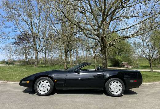 Corvette LT1, auto, Cabrio, 1992, parfait état
