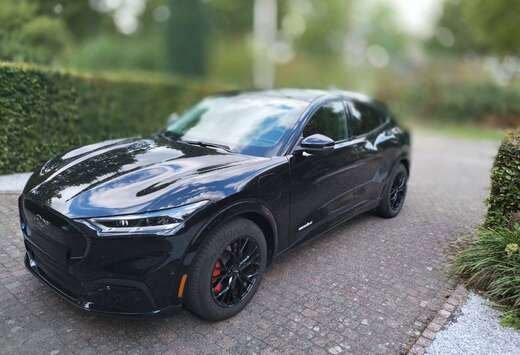 Ford Mustang Mach-E 76 kWh RWD Standard Range