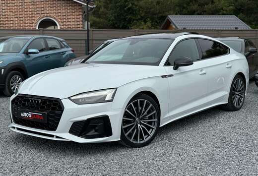 Audi 2.0 Tdi  SPORTBACK  S-Line  Véél Opties
