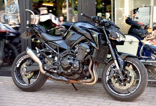***MOTO VERTE***