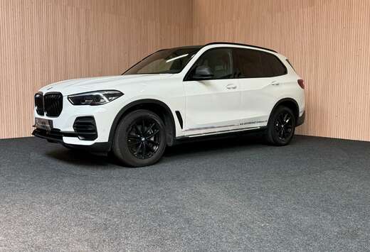 BMW X5 3.0 sdA xDrive| Offroad | Lichte vracht !