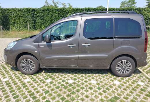 Peugeot 1.2 Style