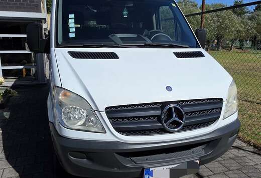 Mercedes-Benz 209 CDI Sprinter 906.111