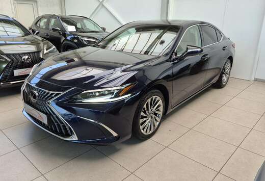 Lexus Privilege Line FULL OPTION Open dak+Mark levins ...