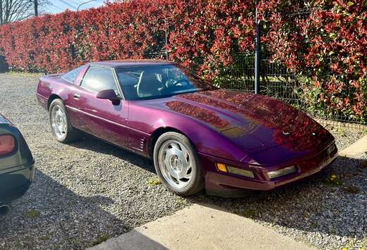 Chevrolet DARK PURPLE METALLIC  COMING SOON