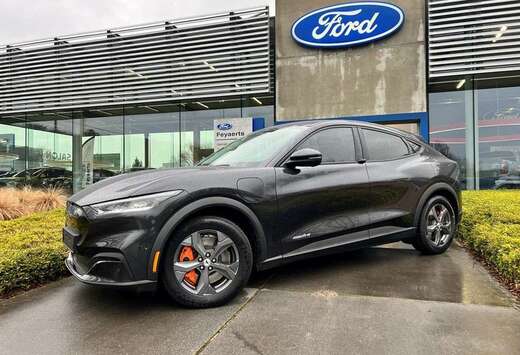 Ford RWD / 76 kWh / 269 PK