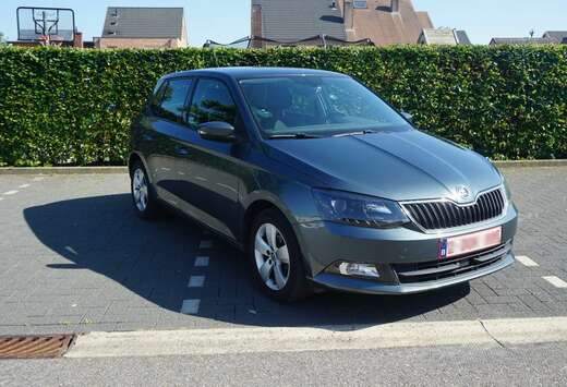 Skoda 1.0 MPI Active