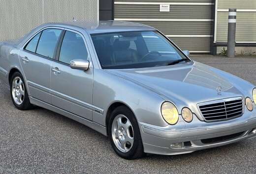 Mercedes-Benz D Avantgarde