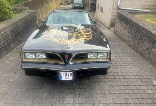 Pontiac Trans Am 6.6 1977