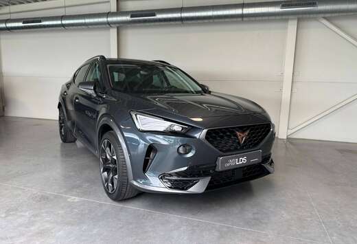 Formentor e-Hybrid 1.4 DSG - camera - velg 19\