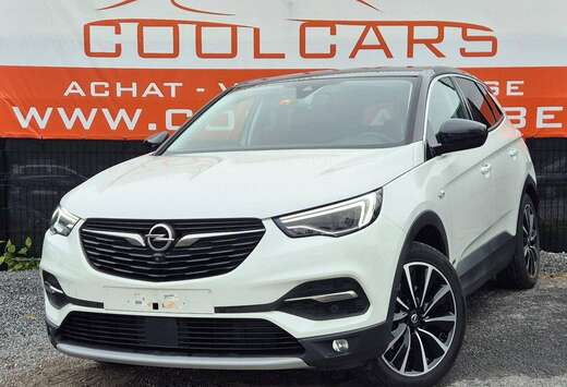 Opel PHEV 1.6 Turbo 4WD Innovation - EU6D - GARANTIE  ...