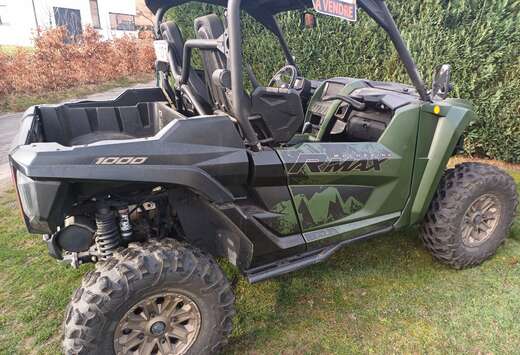 Buggy SSV Rmax 1000