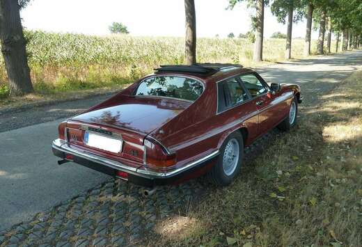 Jaguar 3.6