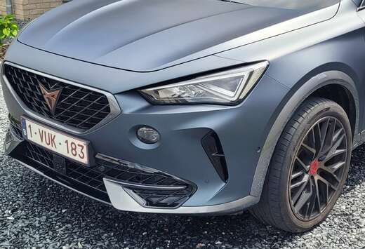 Formentor 2.0 TDI CR