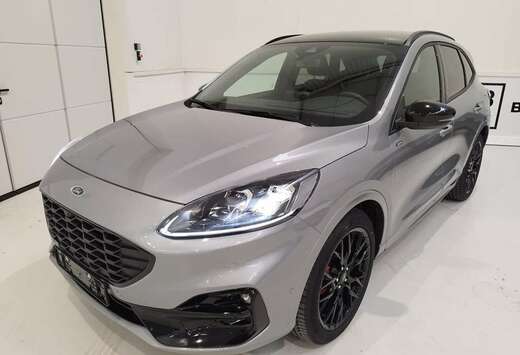 Ford * New ST Line X / Black Edition - *