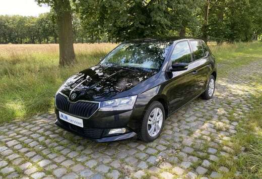 Skoda 1.0 TSI 110 PK