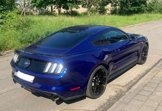 Ford 2.3 EcoBoost. Etat Showroom