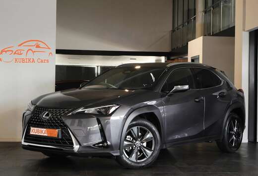 Lexus UX 300h  Aut Navi Cam DodeH LijnA ACC Garantie