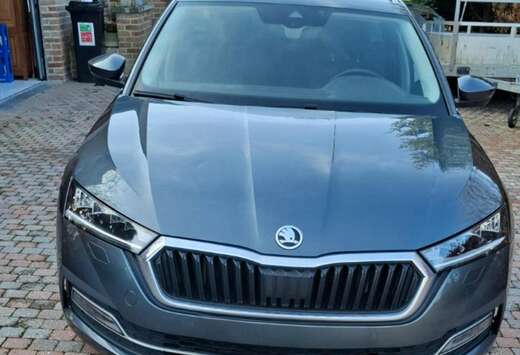 Skoda Octavia SW 1.0 TSI Clever